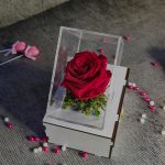 گل رزجاودان قرمزباکس کشودار لوزی کادو تولد ولنتاین | پز بده